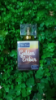 Picture of Golden Ember