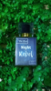 Picture of Night Rebel